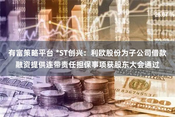 有富策略平台 *ST创兴：利欧股份为子公司借款融资提供连带责任担保事项获股东大会通过
