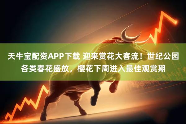 天牛宝配资APP下载 迎来赏花大客流！世纪公园各类春花盛放，樱花下周进入最佳观赏期