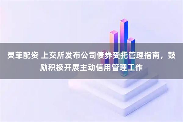 灵菲配资 上交所发布公司债券受托管理指南，鼓励积极开展主动信用管理工作